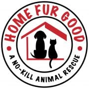 Home Page - Home Fur Good