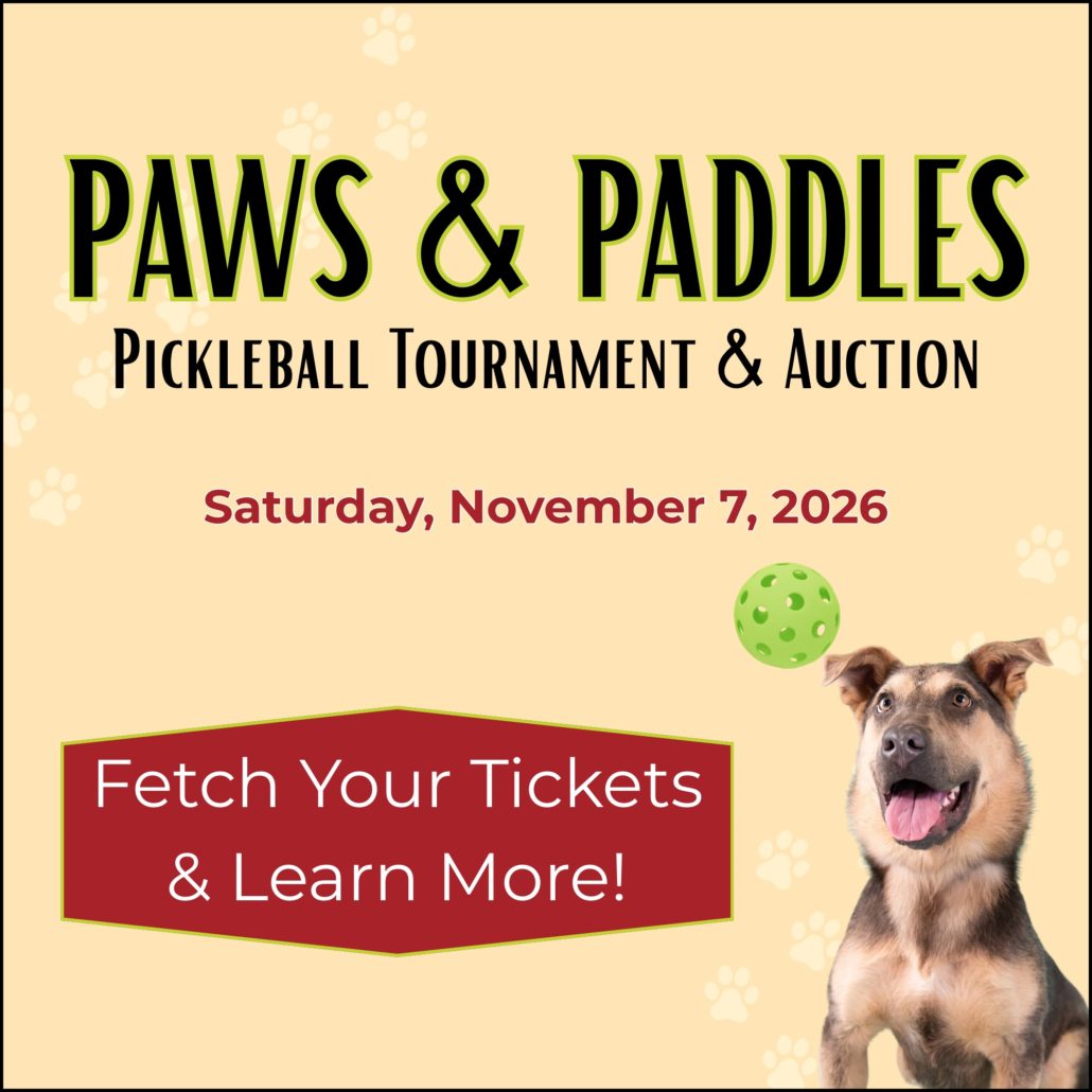 paws-paddles.PNG