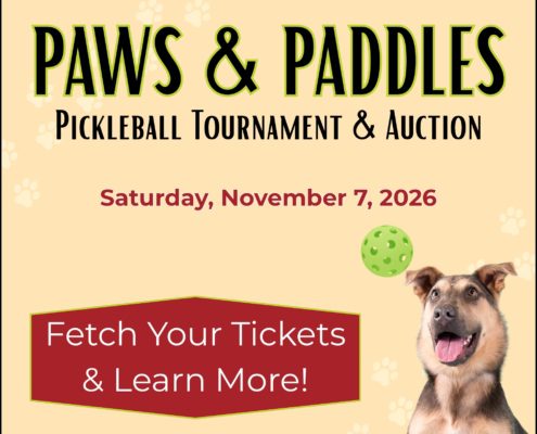 paws-paddles.PNG